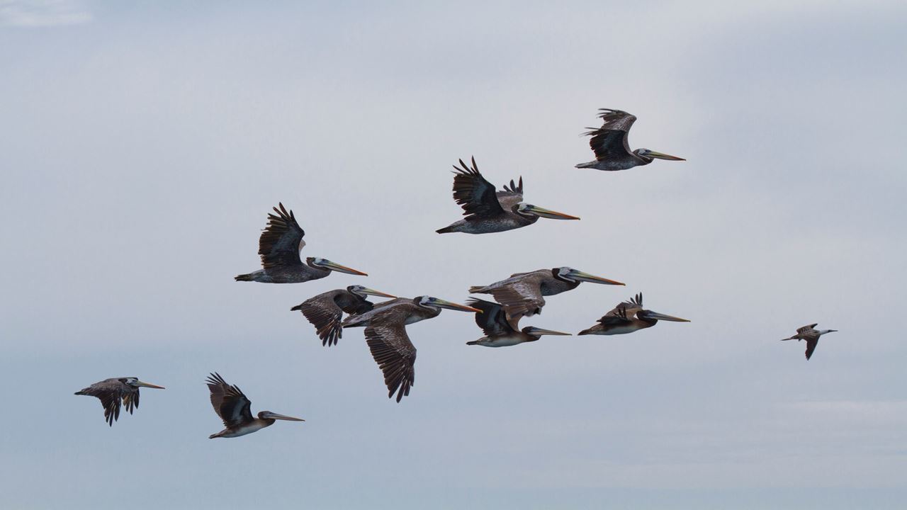 Tour Reserva Nacional foto 10