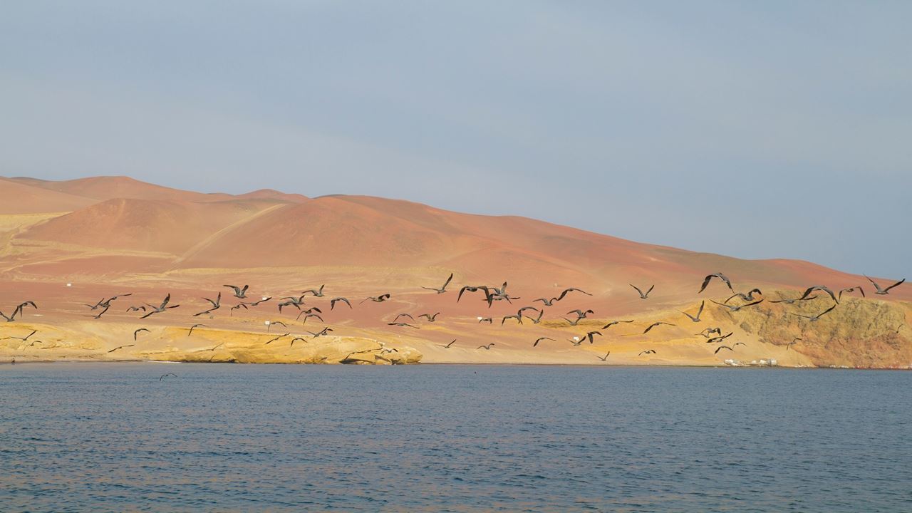 Tour Reserva Nacional foto 7