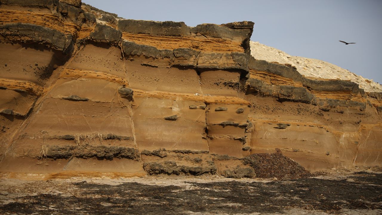Tour Reserva Nacional foto 5