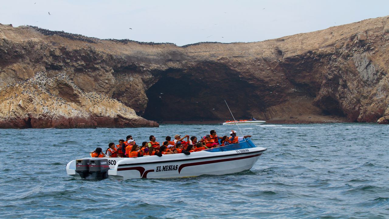 Passeio Pelas Ilhas Ballestas foto 6