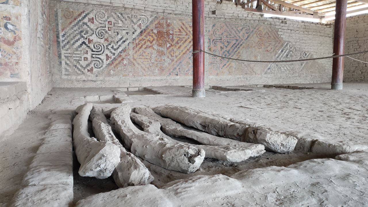 El Brujo Complex Tour From Salaverry Port foto 5