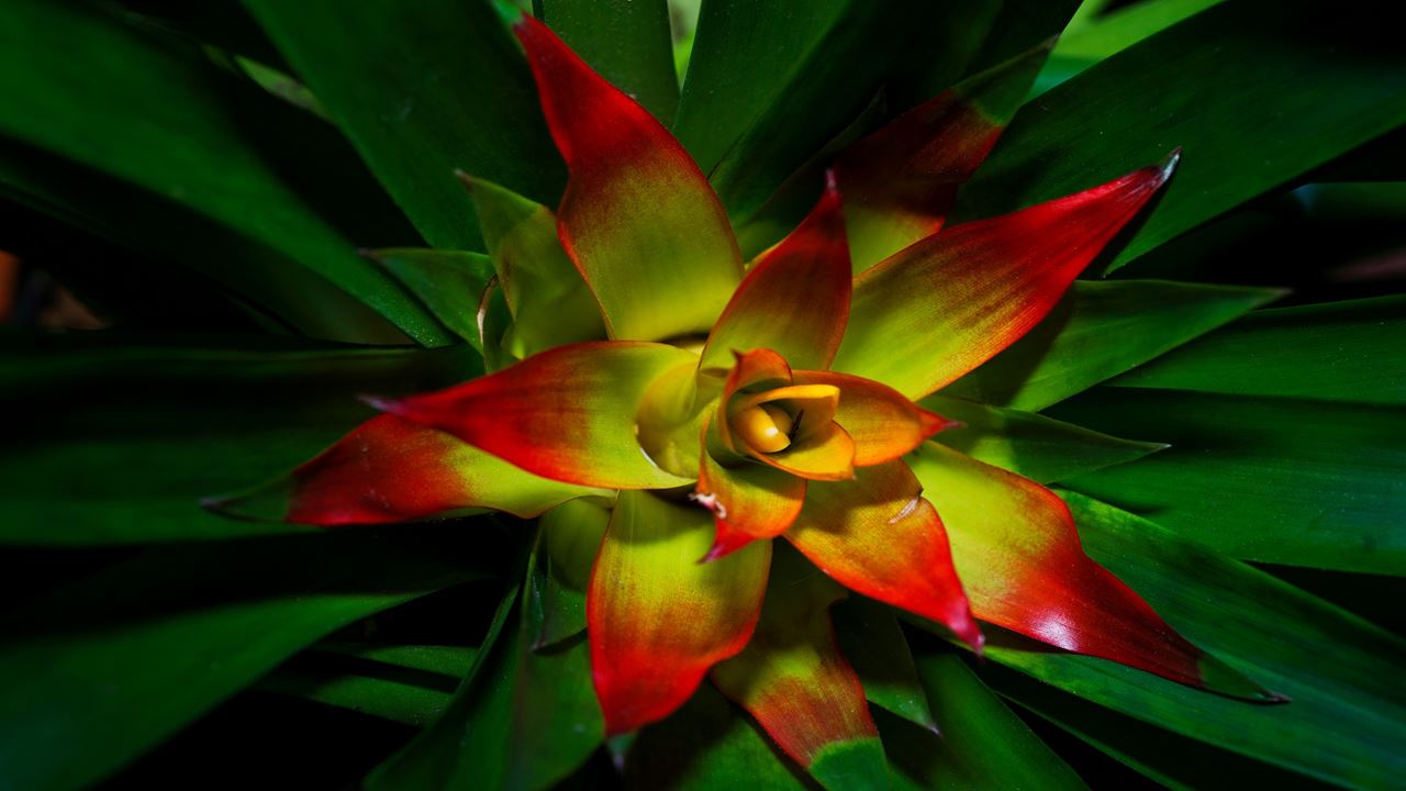 Tour Al Valle De Alto Mayo foto 5