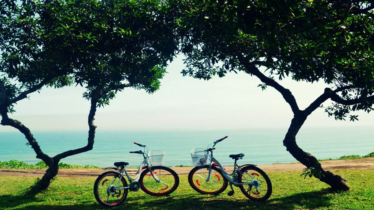 Bike Tour & Surf Lessons (12)