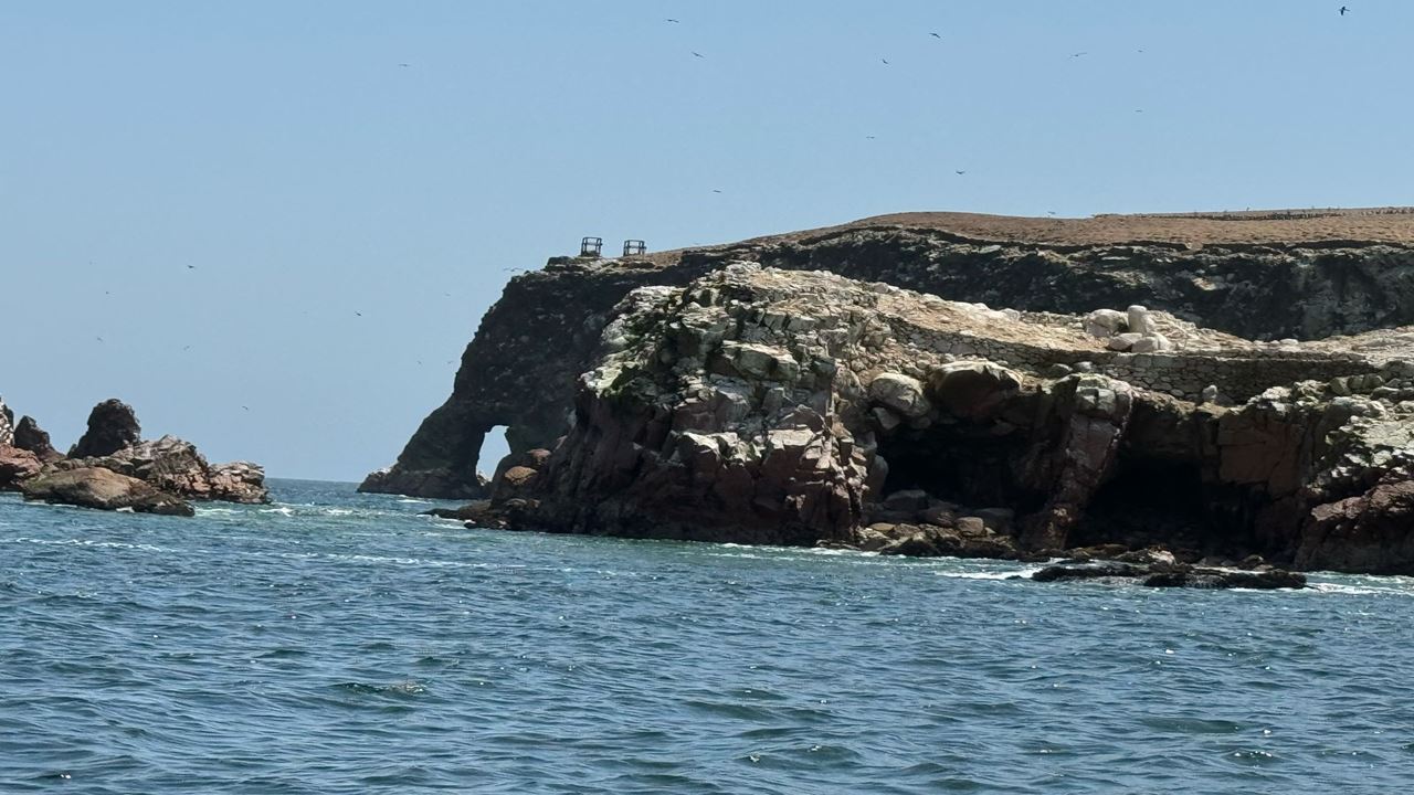 Excursão Às Ilhas Ballestas Saindo De Puerto San Martin foto 10
