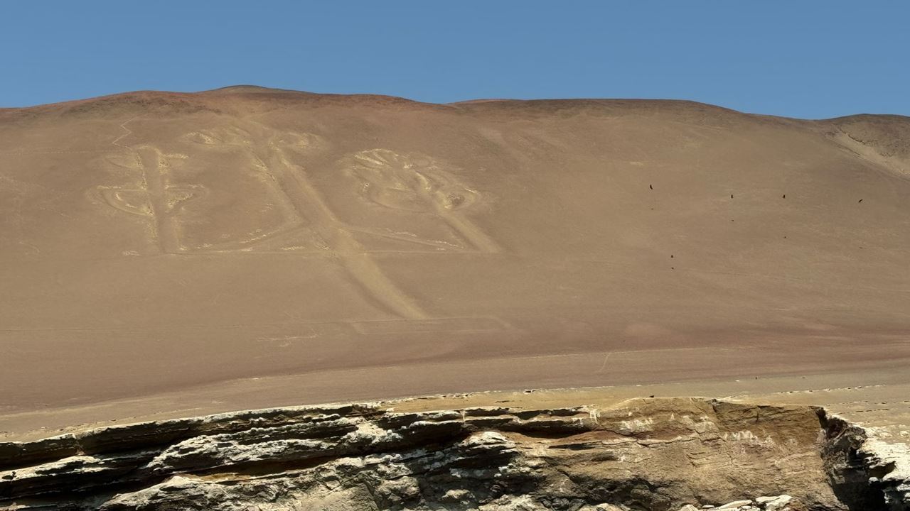Excursão Às Ilhas Ballestas Saindo De Puerto San Martin foto 8