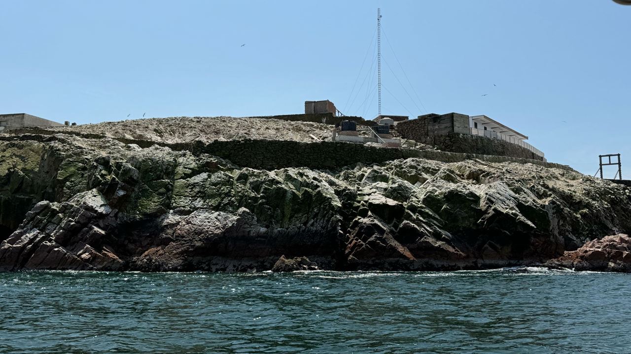 Excursão Às Ilhas Ballestas Saindo De Puerto San Martin foto 12