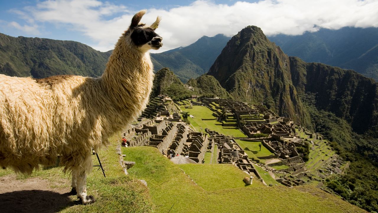 Tour To Machu Picchu From Poroy (0)
