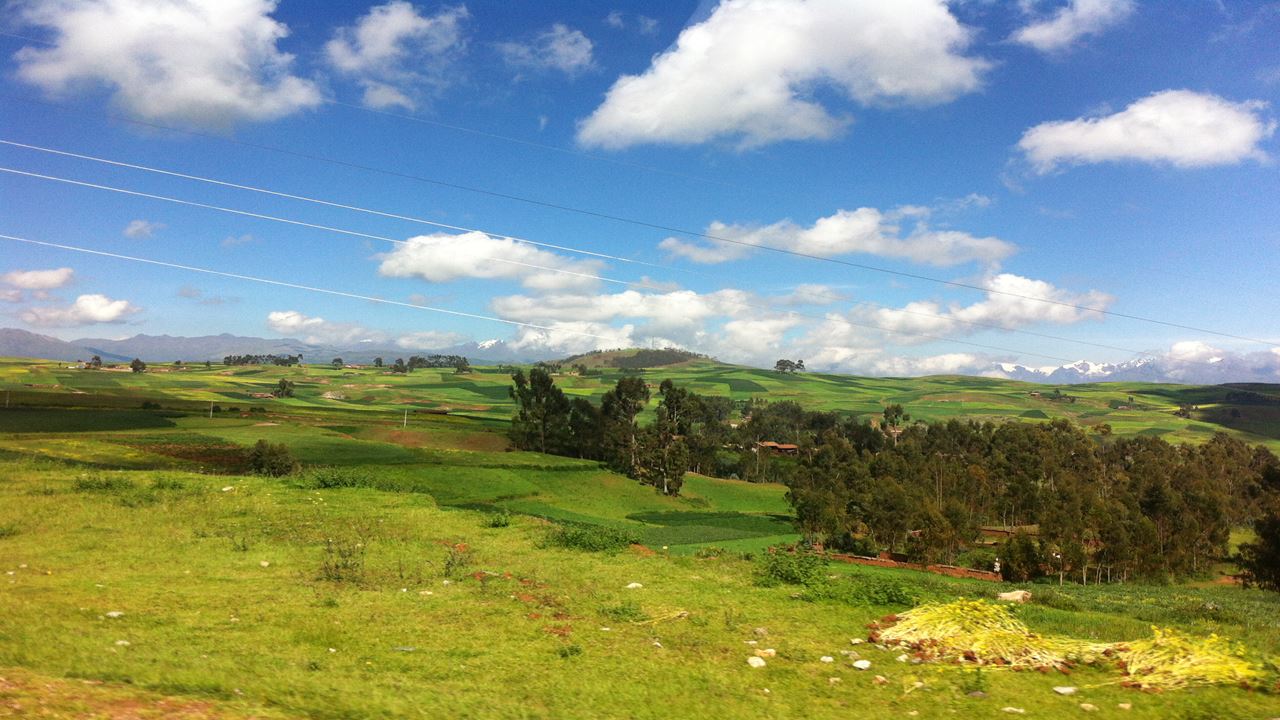 Sacred Valley, Pisac And Ollantaytambo With Lunch (4)