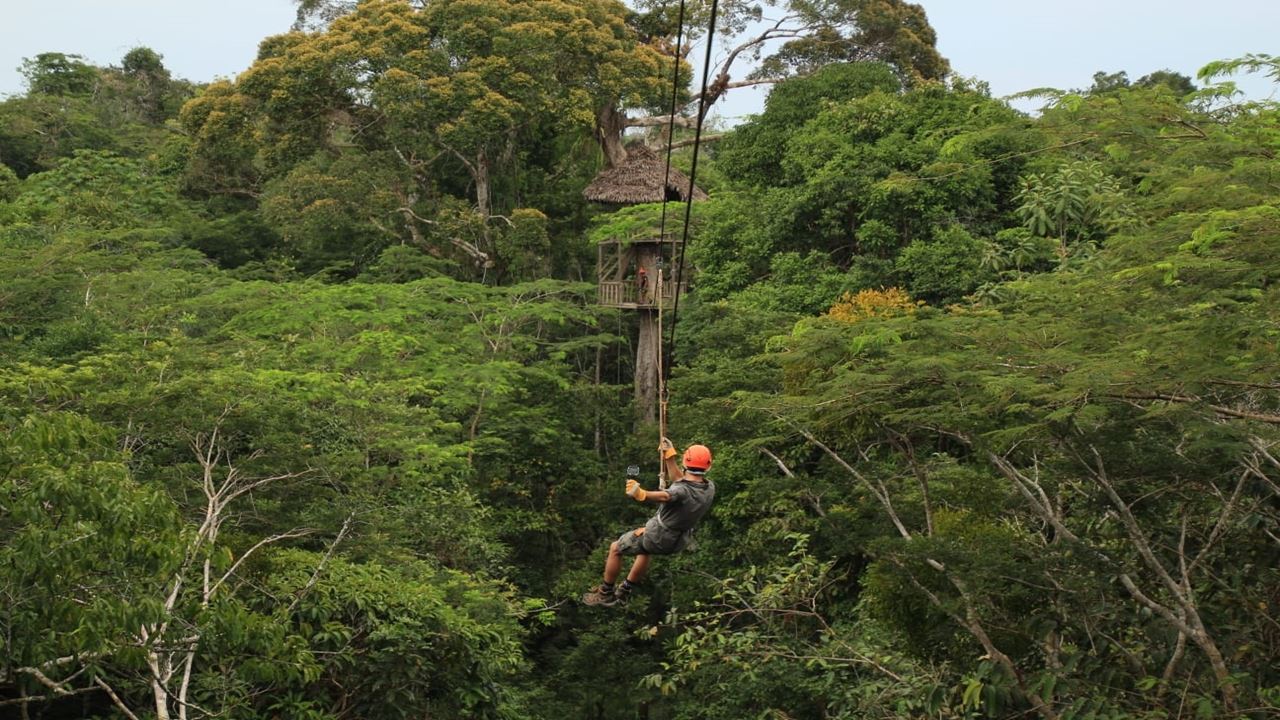Canopy, Ponte Pênsil E Centro De Resgate De Animais