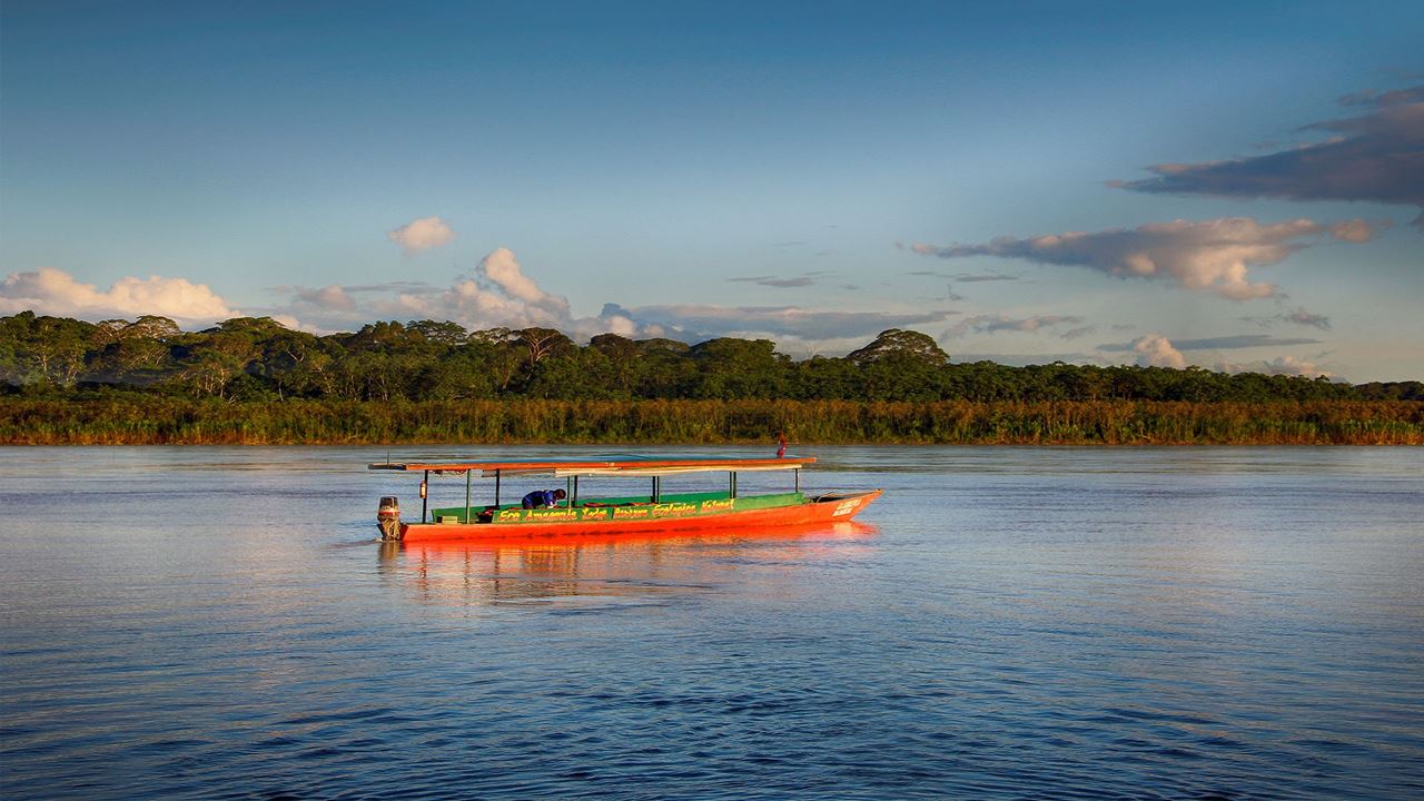 Merveilles De Réserve Nationale De Tambopata