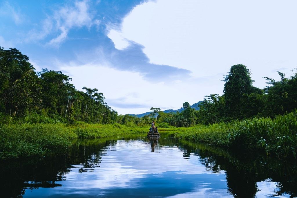 La Selva Del Manu Von Cusco