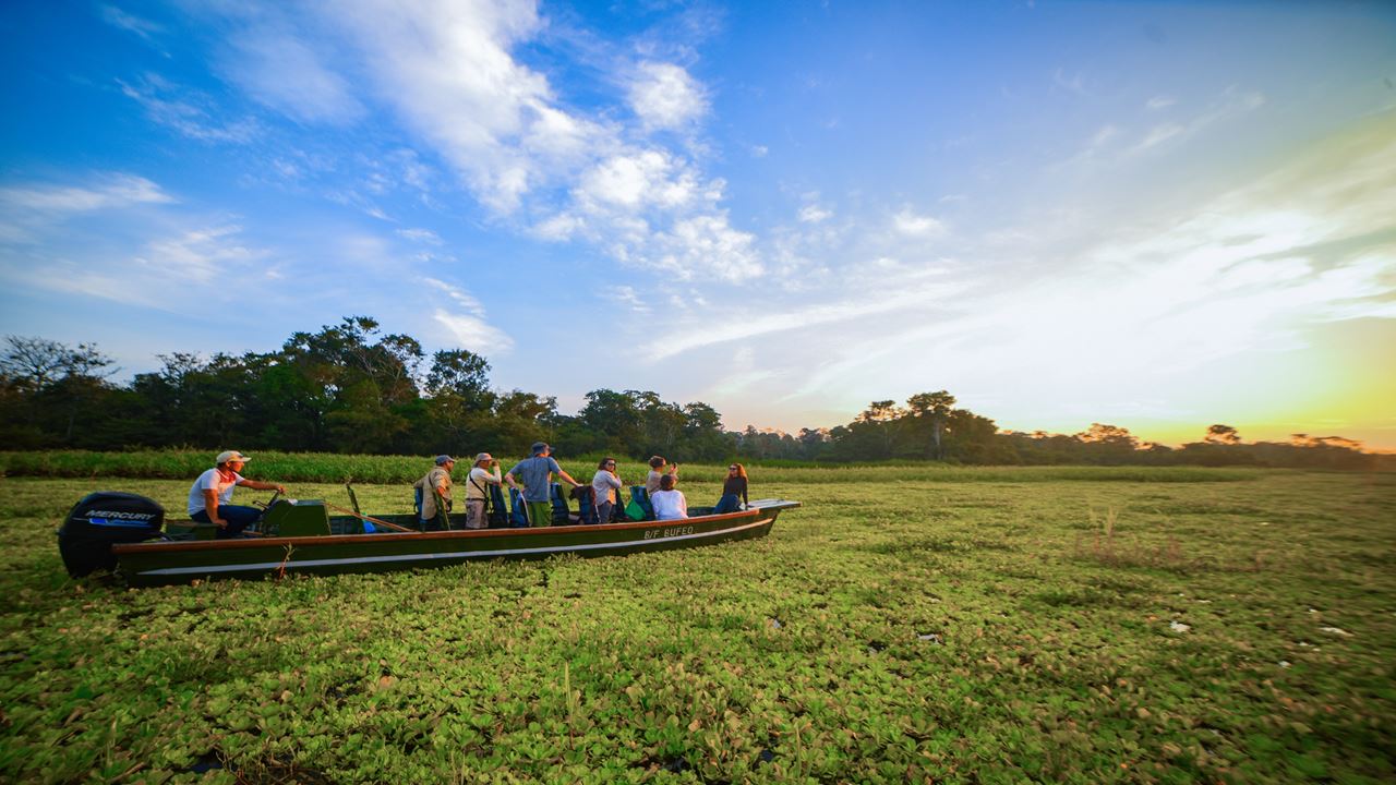 Ecolodge En La Reserva Tamshiyacu Tahuayo