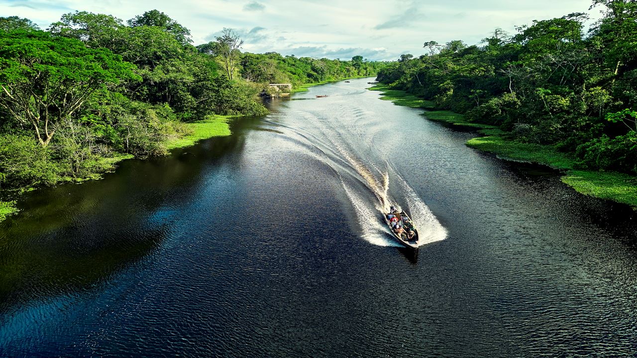 Reserva Tamshiyacu Tahuayo Amazon Lodge