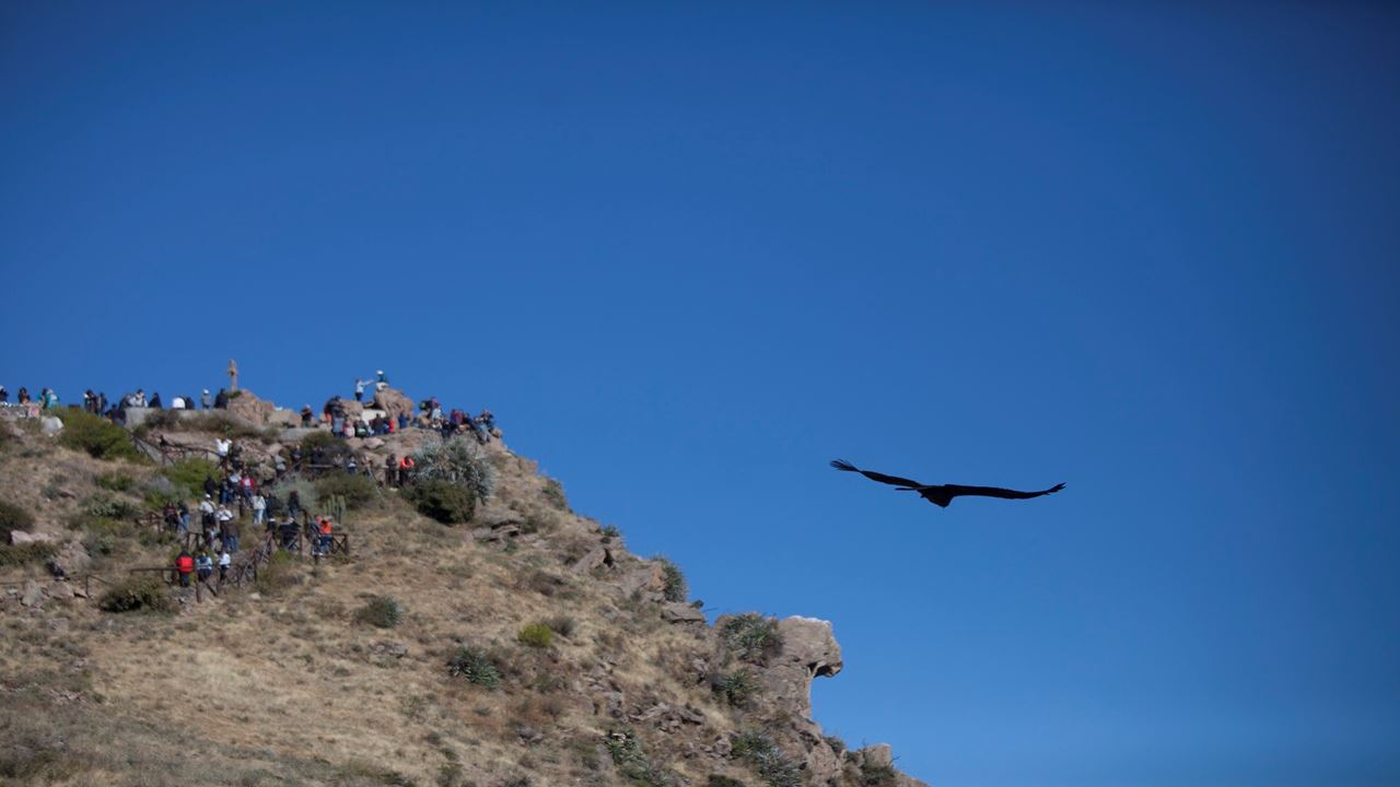 Viagem Ao Sul Do Peru