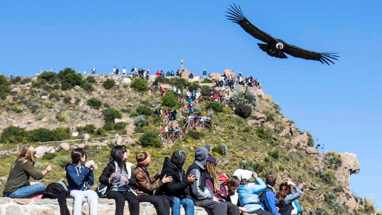 Arequipa E Puno Essenciais